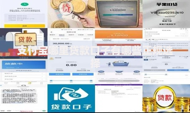 支付宝哪里贷款口子有哪些正规选择