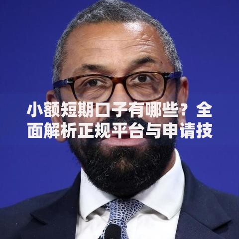 小额短期口子有哪些？全面解析正规平台与申请技巧