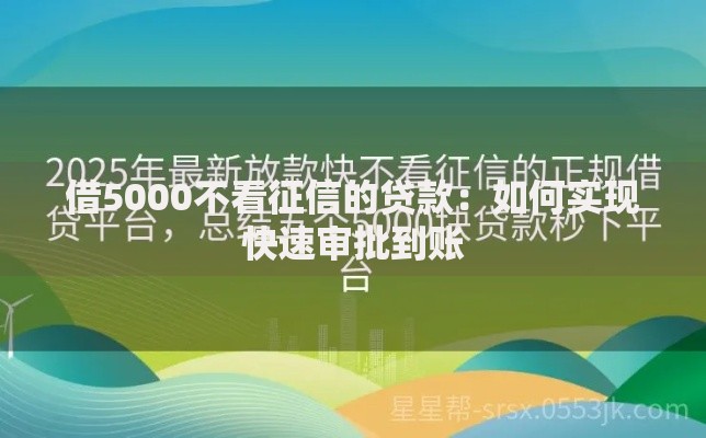 借5000不看征信的贷款：如何实现快速审批到账