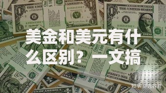 美金和美元有什么区别？一文搞懂这两个词背后的冷知识