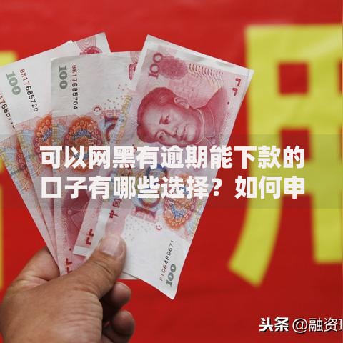 可以网黑有逾期能下款的口子有哪些选择？如何申请？