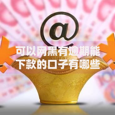 可以网黑有逾期能下款的口子有哪些选择？如何申请？