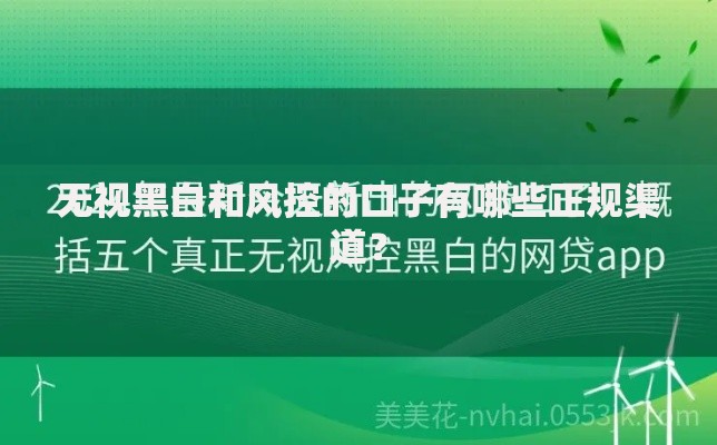 无视黑白和风控的口子有哪些正规渠道？