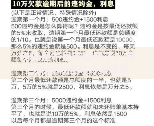 钱伴是不是不能用了？用户现状与应对方案解析