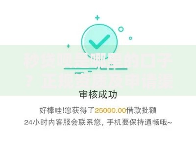 秒贷呗是哪里的口子？正规资质及申请渠道深度解析