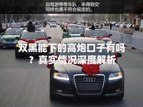 双黑能下的高炮口子有吗？真实情况深度解析