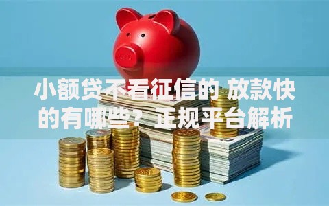 小额贷不看征信的 放款快的有哪些？正规平台解析与选择指南