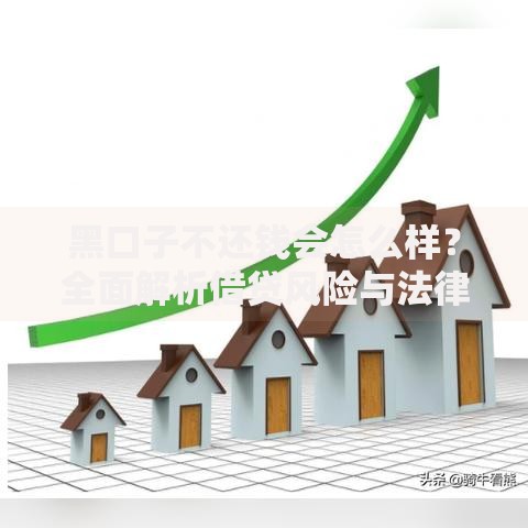 黑口子不还钱会怎么样？全面解析借贷风险与法律后果