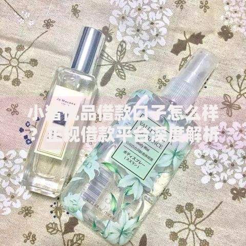 小猪优品借款口子怎么样？正规借款平台深度解析