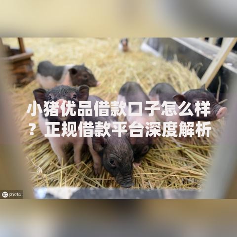 小猪优品借款口子怎么样？正规借款平台深度解析