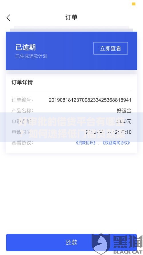 好审批的借贷平台有哪些？如何选择低门槛贷款渠道