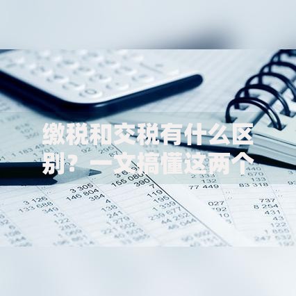 缴税和交税有什么区别？一文搞懂这两个词的实际用法