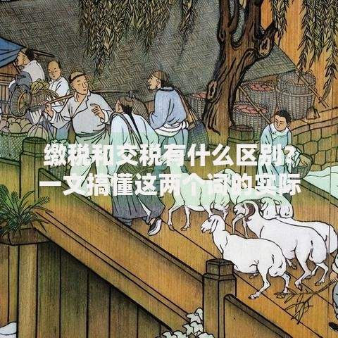 缴税和交税有什么区别？一文搞懂这两个词的实际用法