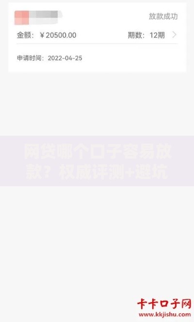 网贷哪个口子容易放款？权威评测+避坑指南