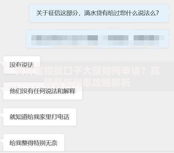 支付宝借款口子大额如何申请？高额度低利率攻略解析