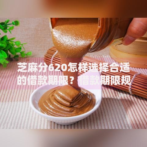 芝麻分620怎样选择合适的借款期限？借款期限规划指南
