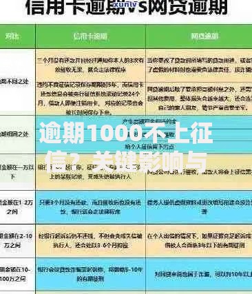 逾期1000不上征信?关键影响与应对策略全解析 逾期1000不上征信?关键影响与应对策略全解析