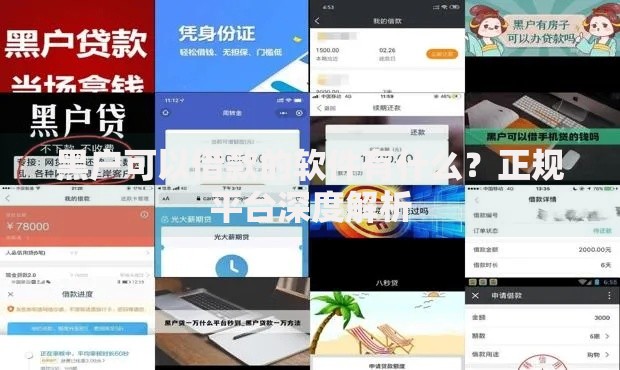 黑户可以借款的软件有什么？正规平台深度解析