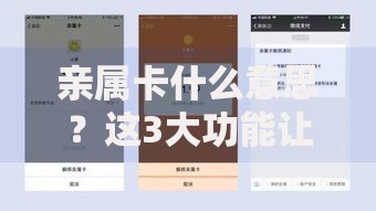 亲属卡什么意思？这3大功能让你轻松管理家人消费