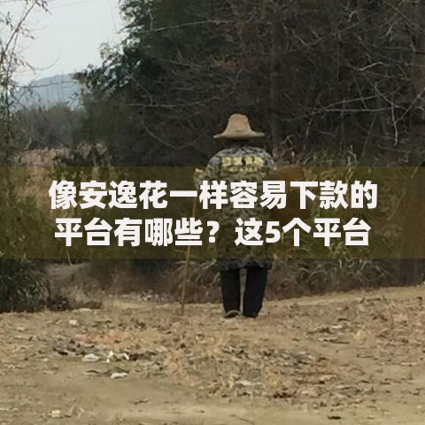 像安逸花一样容易下款的平台有哪些？这5个平台审核快、门槛低
