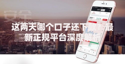 这两天哪个口子还下款？最新正规平台深度解析