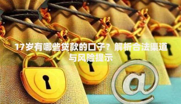 17岁有哪些贷款的口子？解析合法渠道与风险提示