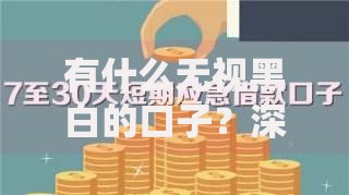 有什么无视黑白的口子？深度解析贷款渠道与风险