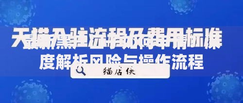 最新黑户口子如何申请？深度解析风险与操作流程