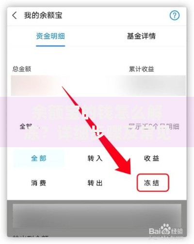 余额宝的钱怎么解冻？详细步骤及常见问题解答