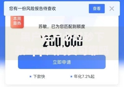 黑户烂户必过秒下款app风尚贷可靠吗？真实评测与风险解析