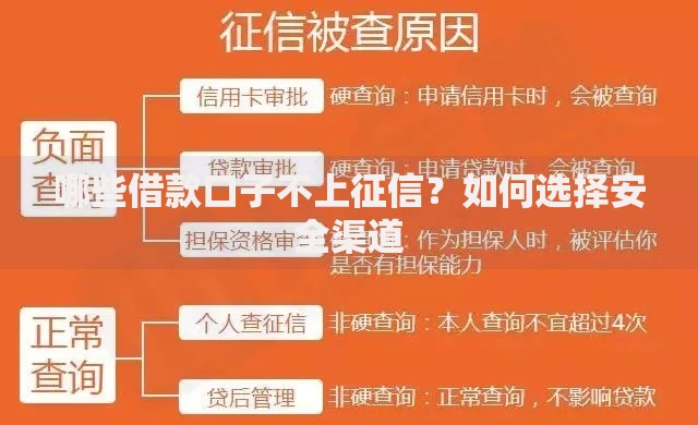 哪些借款口子不上征信？如何选择安全渠道