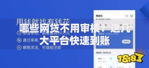 哪些网贷不用审核？这几大平台快速到账