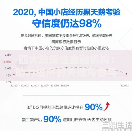 四大政策性金融机构：助力经济的关键角色与核心职能