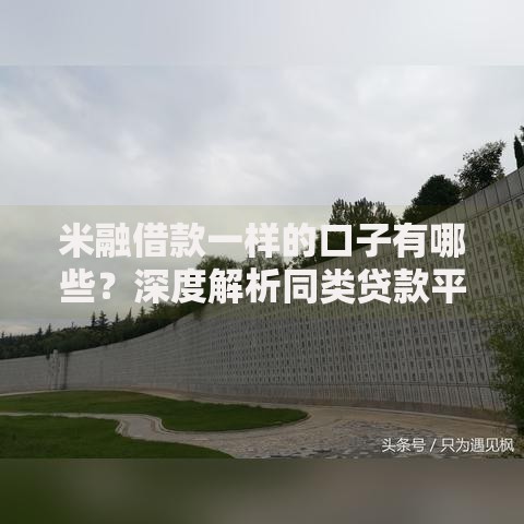 米融借款一样的口子有哪些？深度解析同类贷款平台推荐
