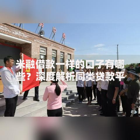 米融借款一样的口子有哪些？深度解析同类贷款平台推荐