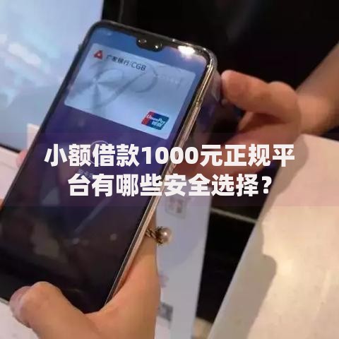 小额借款1000元正规平台有哪些安全选择？