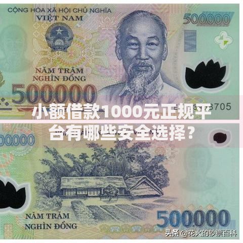小额借款1000元正规平台有哪些安全选择？