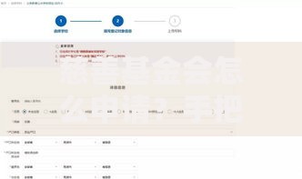 慈善基金会怎么申请？手把手教你快速通过审核指南