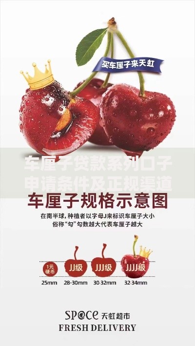 车厘子贷款系列口子申请条件及正规渠道解析