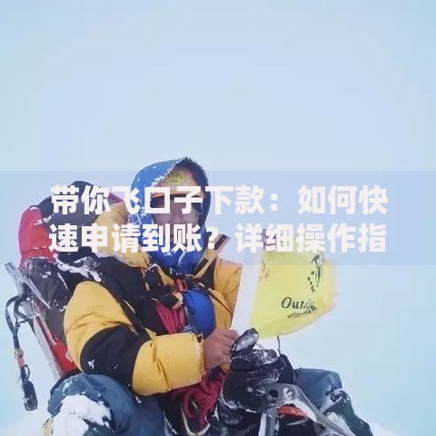 带你飞口子下款：如何快速申请到账？详细操作指南