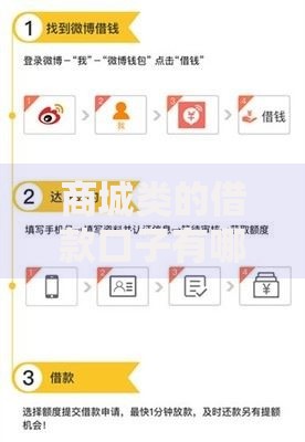 商城类的借款口子有哪些？申请流程与注意事项全解析