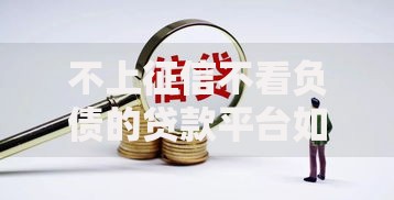 不上征信不看负债的贷款平台如何选择安全渠道？