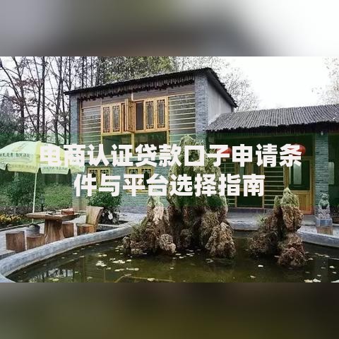 电商认证贷款口子申请条件与平台选择指南
