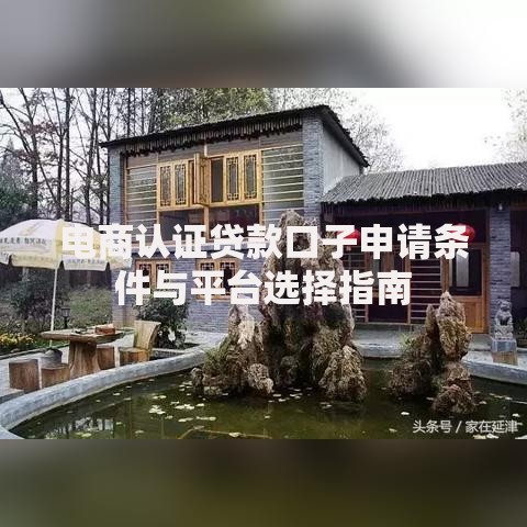 电商认证贷款口子申请条件与平台选择指南