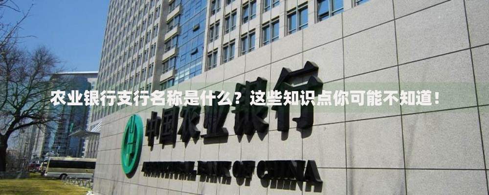 农业银行支行名称是什么？这些知识点你可能不知道！