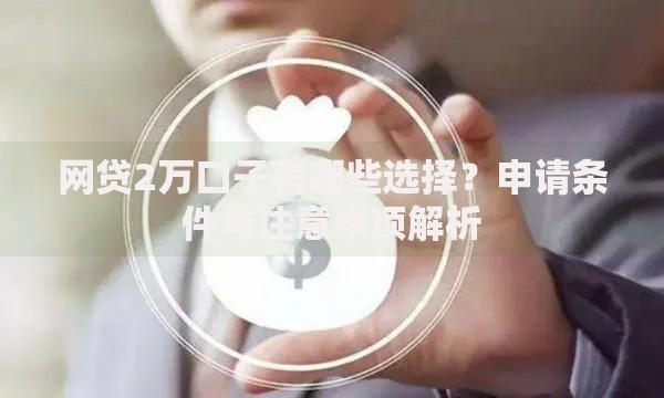 网贷2万口子有哪些选择？申请条件与注意事项解析