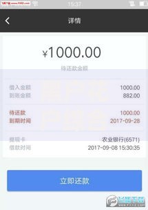 黑户花户综合信用不足能下什么贷款？解决方案全解析