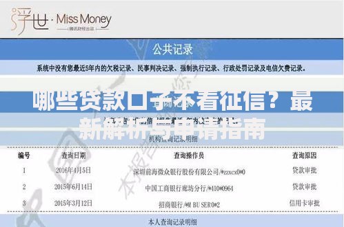 哪些贷款口子不看征信？最新解析与申请指南
