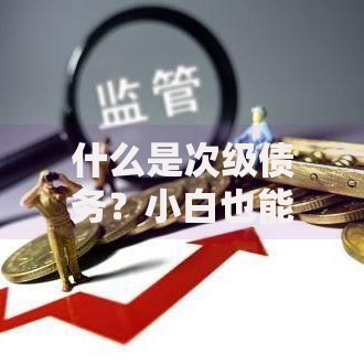 什么是次级债务？小白也能看懂的高风险理财选择