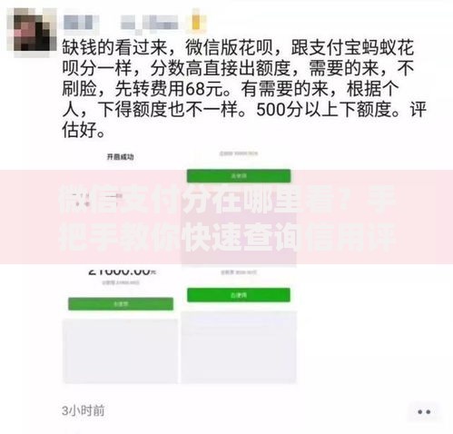 微信支付分在哪里看？手把手教你快速查询信用评分